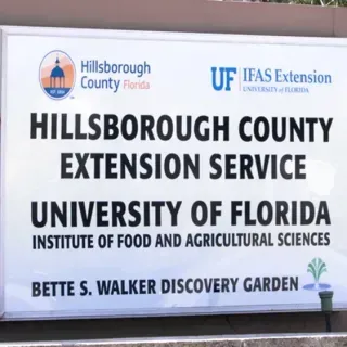 thumbnail for publication: Hillsborough County